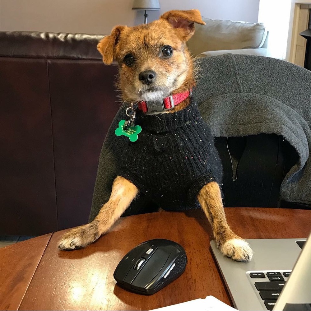 Meet your Posher, Tamrra